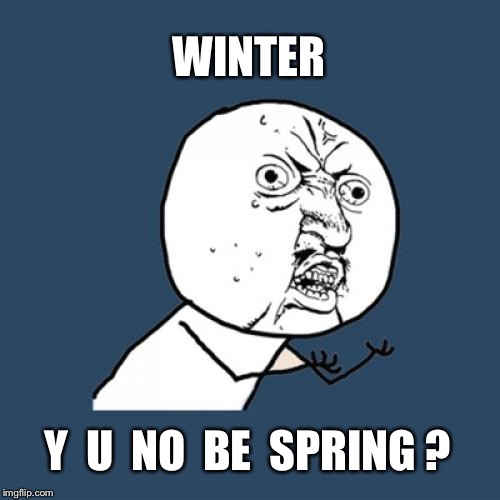 Y U No | WINTER Y  U  NO  BE  SPRING ? | image tagged in memes,y u no | made w/ Imgflip meme maker