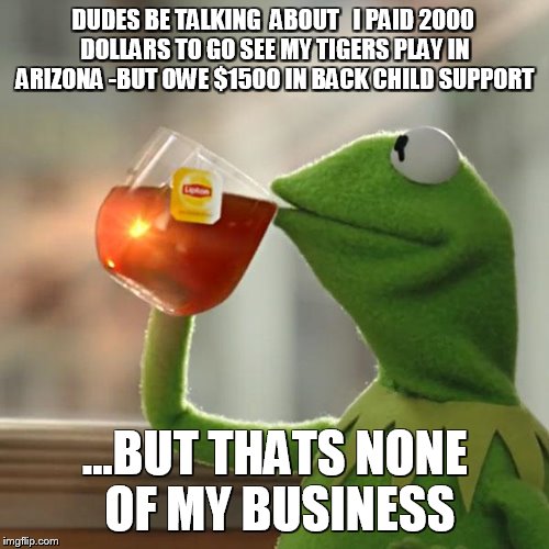 But That's None Of My Business | DUDES BE TALKING  ABOUT 

I PAID 2000 DOLLARS TO GO SEE MY TIGERS PLAY IN ARIZONA -BUT OWE $1500 IN BACK CHILD SUPPORT ...BUT THATS NONE OF  | image tagged in memes,but thats none of my business,kermit the frog | made w/ Imgflip meme maker