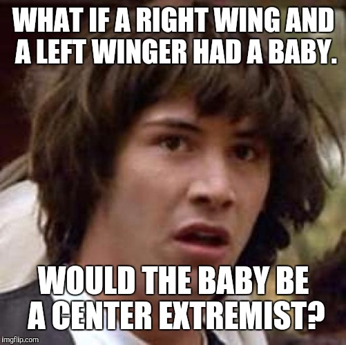 Conspiracy Keanu Meme | WHAT IF A RIGHT WING AND A LEFT WINGER HAD A BABY. WOULD THE BABY BE A CENTER EXTREMIST? | image tagged in memes,conspiracy keanu | made w/ Imgflip meme maker