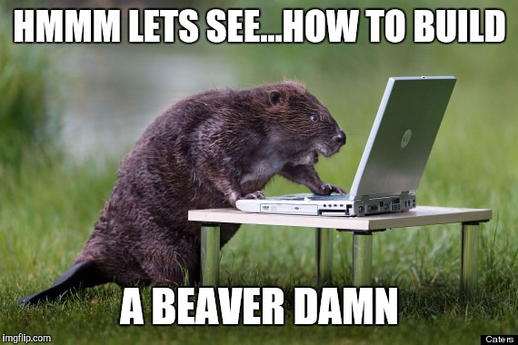 HMMM LETS SEE...HOW TO BUILD A BEAVER DAMN | made w/ Imgflip meme maker