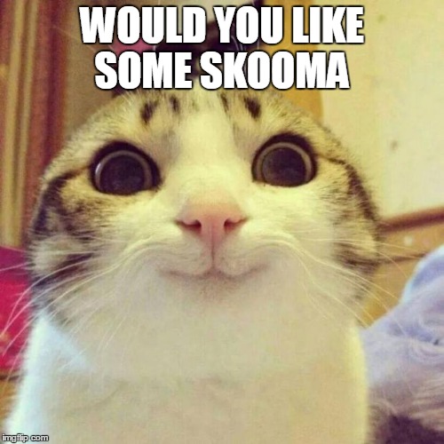 Smiling Cat Meme | WOULD YOU LIKE SOME SKOOMA | image tagged in memes,smiling cat | made w/ Imgflip meme maker