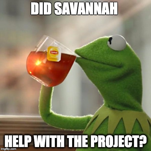 But That's None Of My Business | DID SAVANNAH HELP WITH THE PROJECT? | image tagged in memes,but thats none of my business,kermit the frog | made w/ Imgflip meme maker