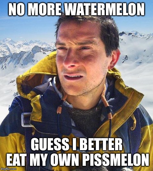 NO MORE WATERMELON GUESS I BETTER EAT MY OWN PISSMELON | image tagged in bear grylls | made w/ Imgflip meme maker