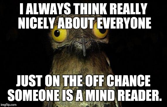Weird Stuff I Do Potoo Meme | I ALWAYS THINK REALLY NICELY ABOUT EVERYONE JUST ON THE OFF CHANCE SOMEONE IS A MIND READER. | image tagged in memes,weird stuff i do potoo | made w/ Imgflip meme maker