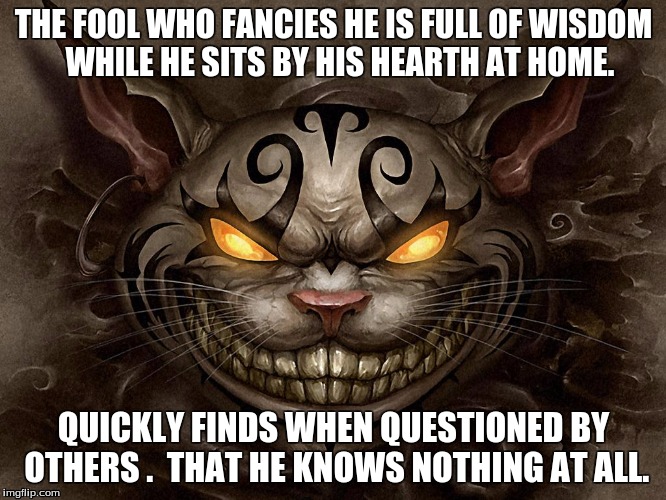 THE FOOL WHO FANCIES HE IS FULL OF WISDOM WHILE HE SITS BY HIS HEARTH AT HOME. QUICKLY FINDS WHEN QUESTIONED BY OTHERS . THAT HE KNOWS NOT | image tagged in fool | made w/ Imgflip meme maker