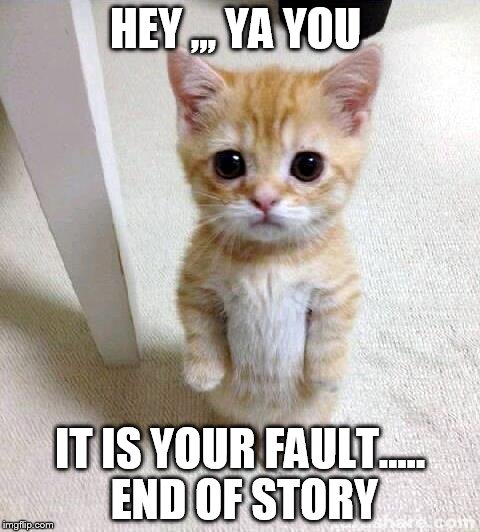 Cute Cat Meme | HEY ,,, YA YOU IT IS YOUR FAULT..... END OF STORY | image tagged in memes,cute cat | made w/ Imgflip meme maker