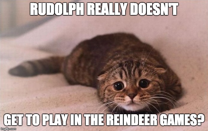 Scared for Rudolph | RUDOLPH REALLY DOESN'T GET TO PLAY IN THE REINDEER GAMES? | image tagged in funny cat memes | made w/ Imgflip meme maker