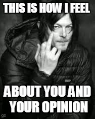 how I feel about you  | THIS IS HOW I FEEL ABOUT YOU AND YOUR OPINION | image tagged in twd | made w/ Imgflip meme maker