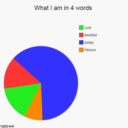 What I am in 4 words | image tagged in funny,pie charts,another,lonley,person | made w/ Imgflip chart maker