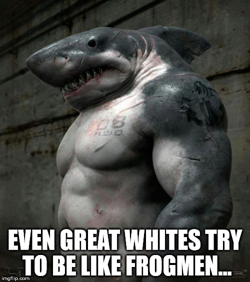 Frogman envy | EVEN GREAT WHITES TRY TO BE LIKE FROGMEN... | image tagged in military | made w/ Imgflip meme maker