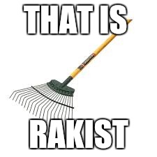 Rakist | THAT IS RAKIST | image tagged in rakist | made w/ Imgflip meme maker