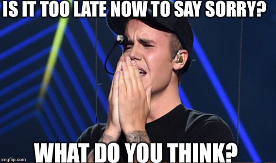 IS IT TOO LATE NOW TO SAY SORRY? WHAT DO YOU THINK? | image tagged in justin bieber | made w/ Imgflip meme maker