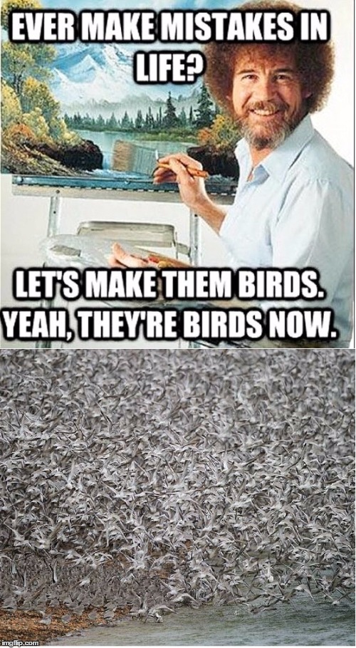 If My Mistakes Really Were Birds | image tagged in memes,funny,funny memes,so true memes,true,relatable | made w/ Imgflip meme maker