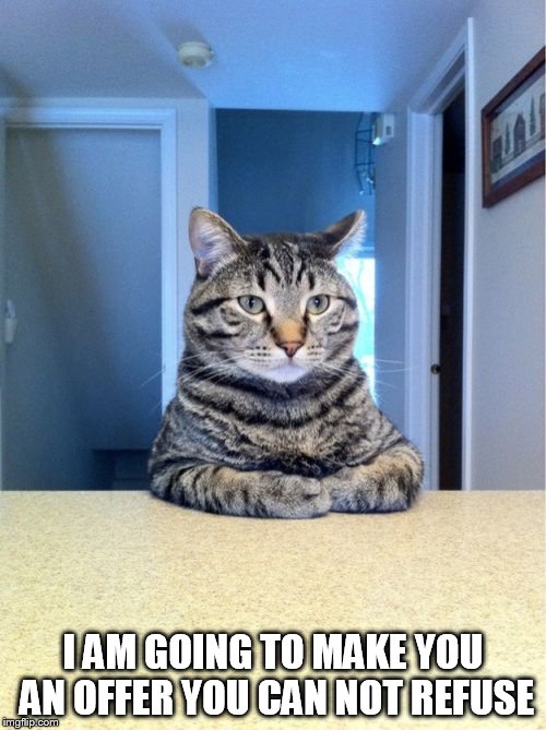 Take A Seat Cat | I AM GOING TO MAKE YOU AN OFFER YOU CAN NOT REFUSE | image tagged in memes,take a seat cat | made w/ Imgflip meme maker