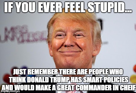 Donald trump approves | IF YOU EVER FEEL STUPID... JUST REMEMBER THERE ARE PEOPLE WHO THINK DONALD TRUMP HAS SMART POLICIES AND WOULD MAKE A GREAT COMMANDER IN CHEI | image tagged in donald trump approves | made w/ Imgflip meme maker