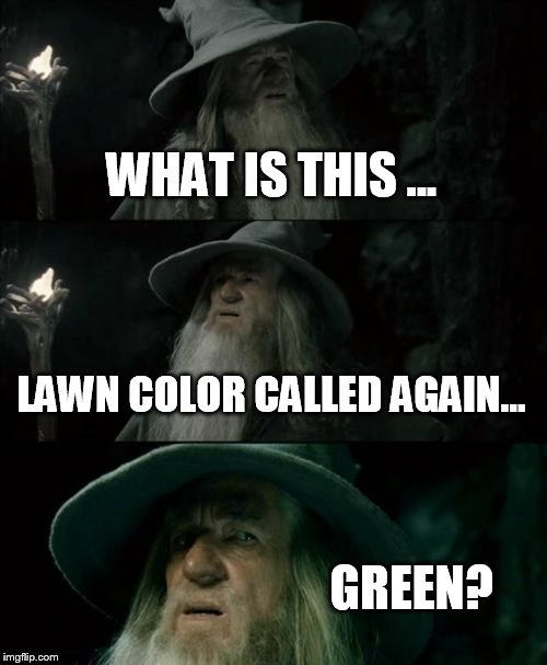 California Residents Be Like | WHAT IS THIS ... LAWN COLOR CALLED AGAIN... GREEN? | image tagged in memes,confused gandalf | made w/ Imgflip meme maker