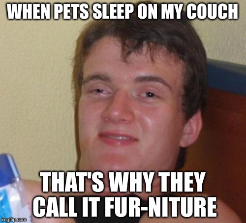 10 Guy Meme | WHEN PETS SLEEP ON MY COUCH THAT'S WHY THEY CALL IT FUR-NITURE | image tagged in memes,10 guy | made w/ Imgflip meme maker