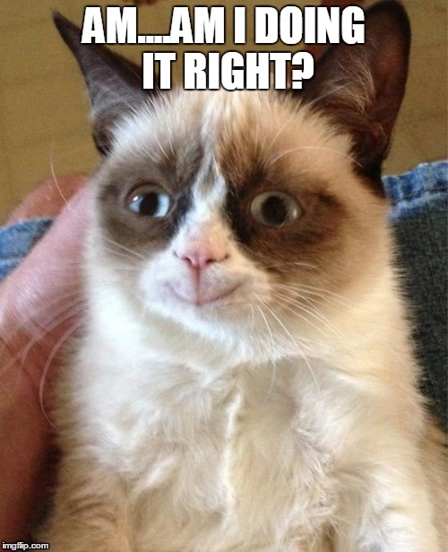 Grumpy Cat Happy Meme | AM....AM I DOING IT RIGHT? | image tagged in grumpy cat happy | made w/ Imgflip meme maker