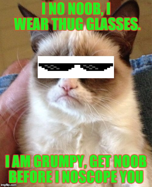 Grumpy Cat Meme | I NO NOOB, I WEAR THUG GLASSES. I AM GRUMPY, GET NOOB BEFORE I NOSCOPE YOU | image tagged in memes,grumpy cat | made w/ Imgflip meme maker