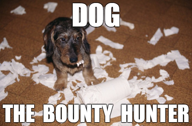 Dog The Bounty Hunter | DOG THE  BOUNTY  HUNTER | image tagged in dog the bounty hunter,funny | made w/ Imgflip meme maker