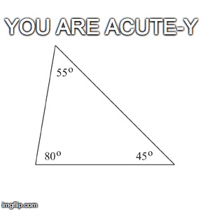 Math me, Baby! | YOU ARE ACUTE-Y | image tagged in acute triangle,cutie | made w/ Imgflip meme maker