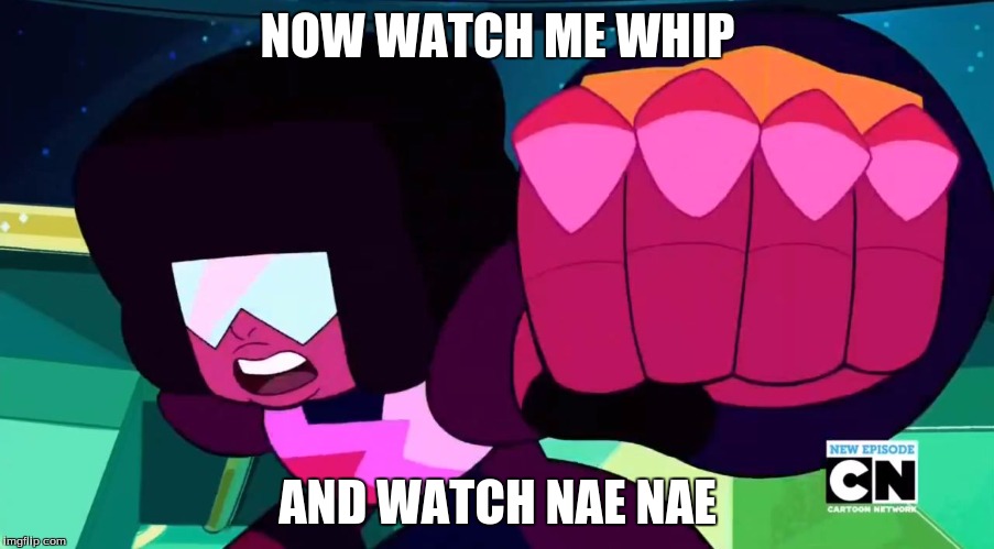 Steven universe | NOW WATCH ME WHIP AND WATCH NAE NAE | image tagged in steven universe,garnet,whip | made w/ Imgflip meme maker
