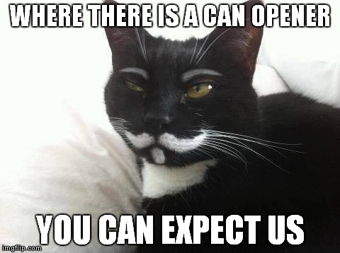 Anonymous Cat | WHERE THERE IS A CAN OPENER YOU CAN EXPECT US | image tagged in anonymous,cat | made w/ Imgflip meme maker