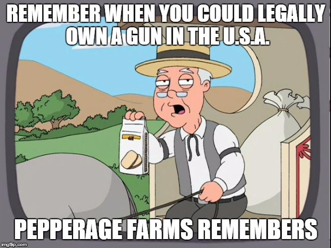 Pepperagefarms | REMEMBER WHEN YOU COULD LEGALLY OWN A GUN IN THE U.S.A. PEPPERAGE FARMS REMEMBERS | image tagged in pepperagefarms | made w/ Imgflip meme maker