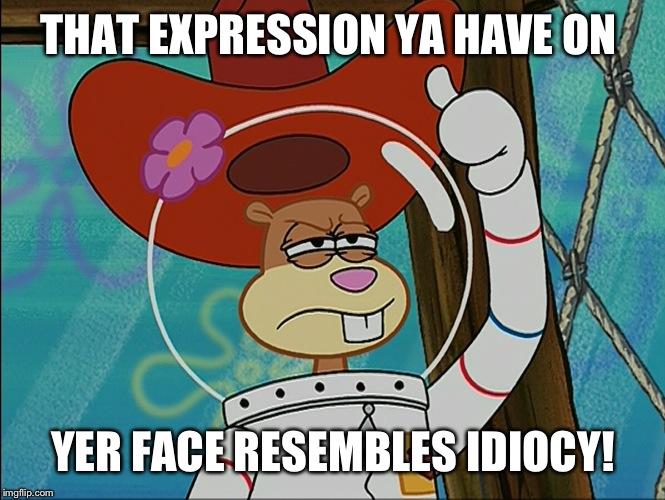 Sandy Cheeks - That Expression On Yer Face | THAT EXPRESSION YA HAVE ON YER FACE RESEMBLES IDIOCY! | image tagged in sandy cheeks,memes,spongebob squarepants,sandy cheeks cowboy hat,insult,texas girl | made w/ Imgflip meme maker