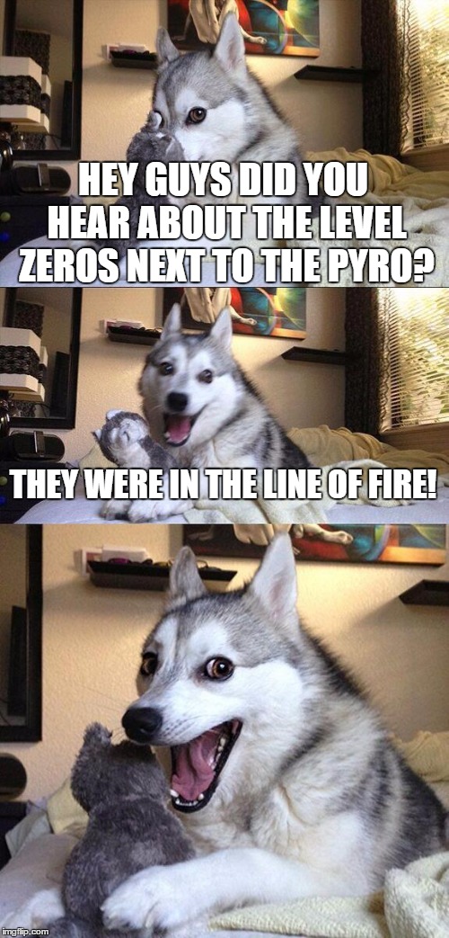 Bad Pun Dog Meme | HEY GUYS DID YOU HEAR ABOUT THE LEVEL ZEROS NEXT TO THE PYRO? THEY WERE IN THE LINE OF FIRE! | image tagged in memes,bad pun dog | made w/ Imgflip meme maker