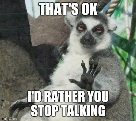 Stoner Lemur | THAT'S OK I'D RATHER YOU STOP TALKING | image tagged in memes,stoner lemur | made w/ Imgflip meme maker