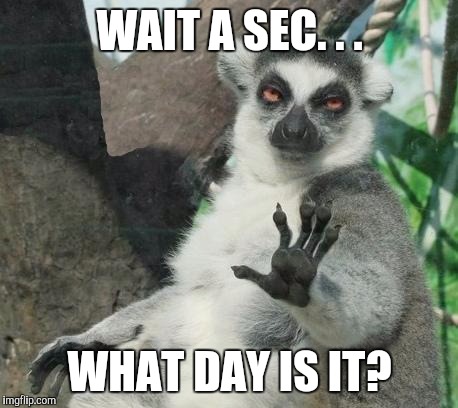 Stoner Lemur | WAIT A SEC. . . WHAT DAY IS IT? | image tagged in memes,stoner lemur | made w/ Imgflip meme maker