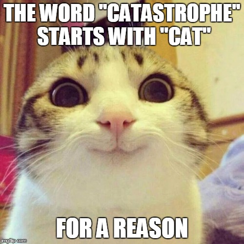 Smiling Cat Meme | THE WORD "CATASTROPHE" STARTS WITH "CAT" FOR A REASON | image tagged in memes,smiling cat | made w/ Imgflip meme maker