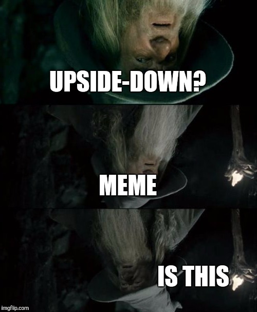 Confused Gandalf Meme | UPSIDE-DOWN? MEME IS THIS | image tagged in memes,confused gandalf | made w/ Imgflip meme maker