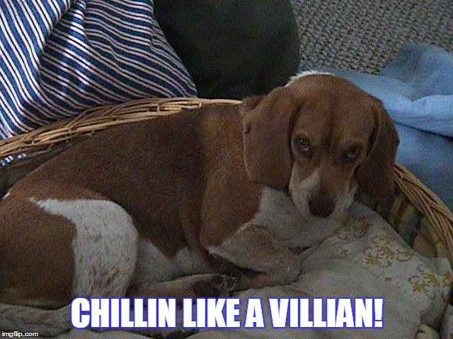 Jus chillin... | CHILLIN LIKE A VILLIAN! | image tagged in memes | made w/ Imgflip meme maker