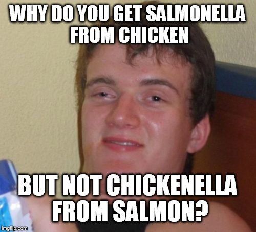 10 Guy Meme | WHY DO YOU GET SALMONELLA FROM CHICKEN BUT NOT CHICKENELLA FROM SALMON? | image tagged in memes,10 guy | made w/ Imgflip meme maker