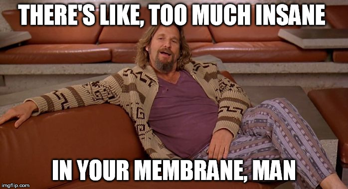 insane in the brain | THERE'S LIKE, TOO MUCH INSANE IN YOUR MEMBRANE, MAN | image tagged in dude,big lebowski,insane,insanity | made w/ Imgflip meme maker