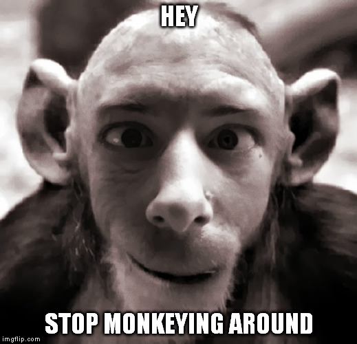 HEY STOP MONKEYING AROUND | made w/ Imgflip meme maker