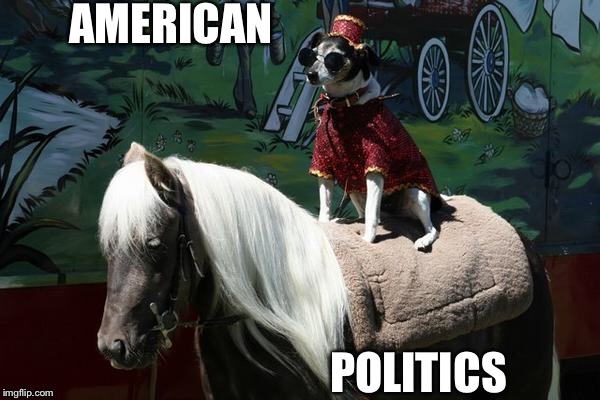 American Politics | AMERICAN POLITICS | image tagged in politics,voting,congress,senate,the house,american | made w/ Imgflip meme maker