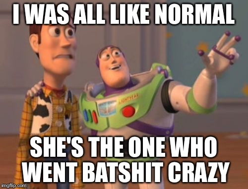 X, X Everywhere | I WAS ALL LIKE NORMAL SHE'S THE ONE WHO WENT BATSHIT CRAZY | image tagged in memes,x x everywhere | made w/ Imgflip meme maker