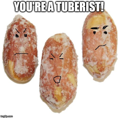 YOU'RE A TUBERIST! | made w/ Imgflip meme maker