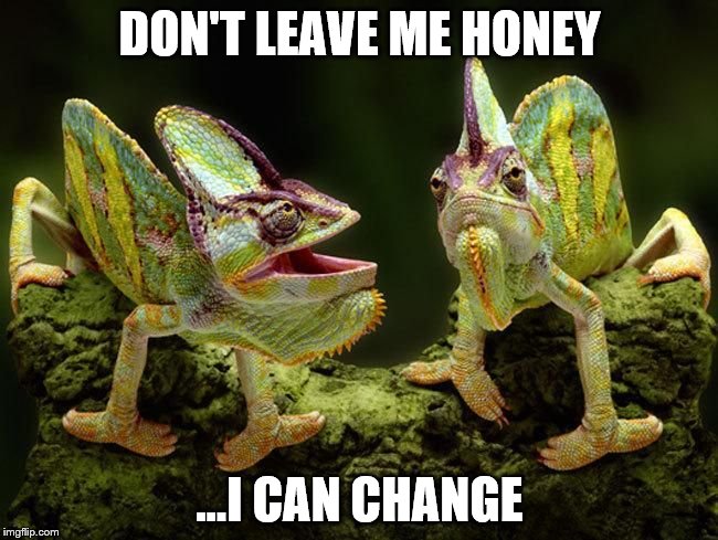 He can you know | DON'T LEAVE ME HONEY ...I CAN CHANGE | image tagged in chameleons,relationships,animals | made w/ Imgflip meme maker