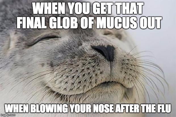 Satisfied Seal Meme | WHEN YOU GET THAT FINAL GLOB OF MUCUS OUT WHEN BLOWING YOUR NOSE AFTER THE FLU | image tagged in memes,satisfied seal | made w/ Imgflip meme maker