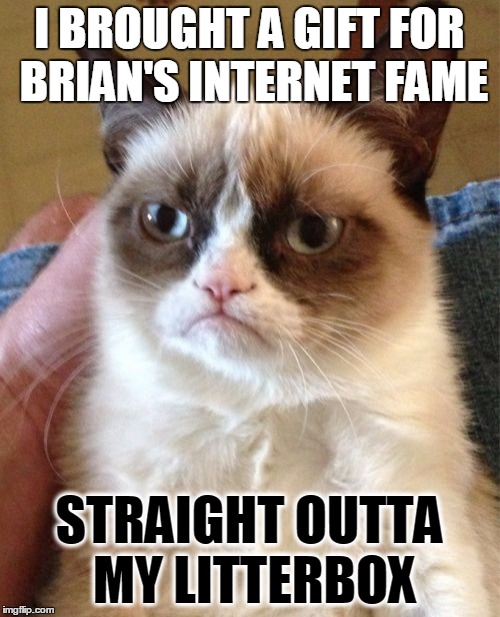 Grumpy Cat Meme | I BROUGHT A GIFT FOR BRIAN'S INTERNET FAME STRAIGHT OUTTA MY LITTERBOX | image tagged in memes,grumpy cat | made w/ Imgflip meme maker