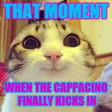 Don't ever feed ur cat coffee | THAT MOMENT WHEN THE CAPPACINO FINALLY KICKS IN | image tagged in potatos and catshi crazy | made w/ Imgflip meme maker