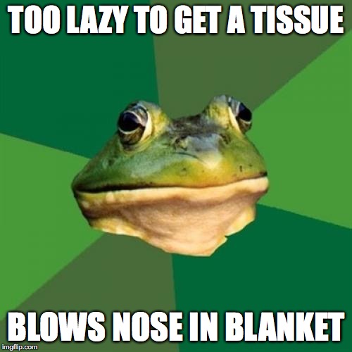 Foul Bachelor Frog | TOO LAZY TO GET A TISSUE BLOWS NOSE IN BLANKET | image tagged in memes,foul bachelor frog | made w/ Imgflip meme maker