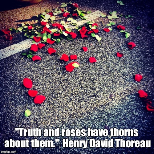 Truthandroses | "Truth and roses have thorns about them."

Henry David Thoreau | image tagged in truthandroses | made w/ Imgflip meme maker