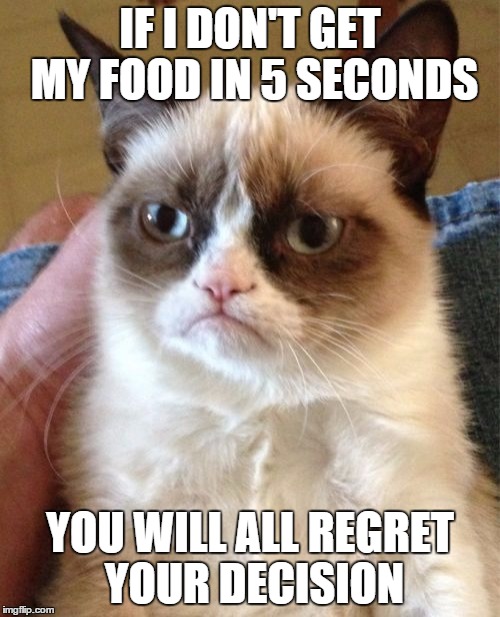 Grumpy Cat Meme | IF I DON'T GET MY FOOD IN 5 SECONDS YOU WILL ALL REGRET YOUR DECISION | image tagged in memes,grumpy cat | made w/ Imgflip meme maker