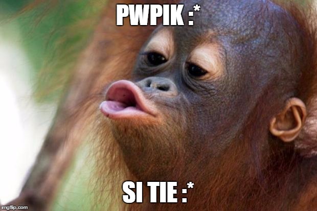 Orangutang Kiss | PWPIK :* SI TIE :* | image tagged in orangutang kiss | made w/ Imgflip meme maker