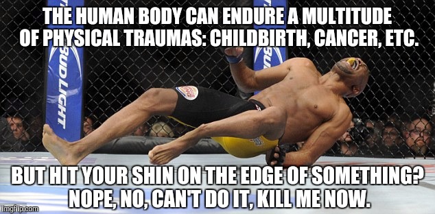 Help. Me. | THE HUMAN BODY CAN ENDURE A MULTITUDE OF PHYSICAL TRAUMAS: CHILDBIRTH, CANCER, ETC. BUT HIT YOUR SHIN ON THE EDGE OF SOMETHING? NOPE, NO, CA | image tagged in pain,body,memes | made w/ Imgflip meme maker
